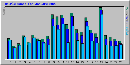 Hourly usage for January 2020