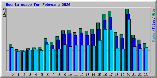 Hourly usage for February 2020