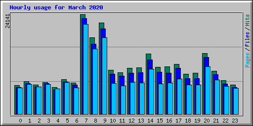 Hourly usage for March 2020