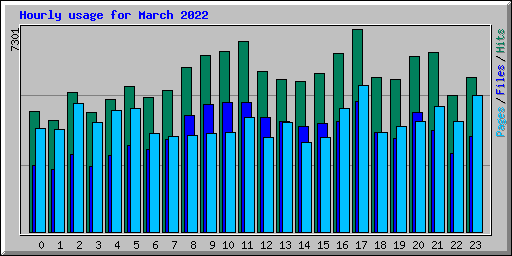 Hourly usage for March 2022